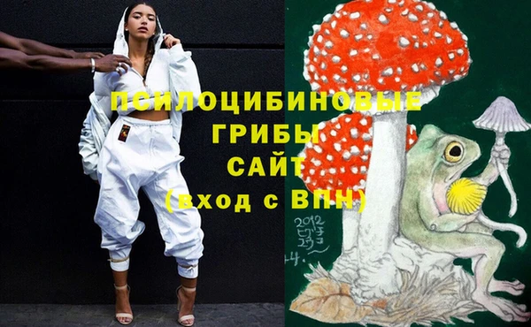 прущие крисы Армянск