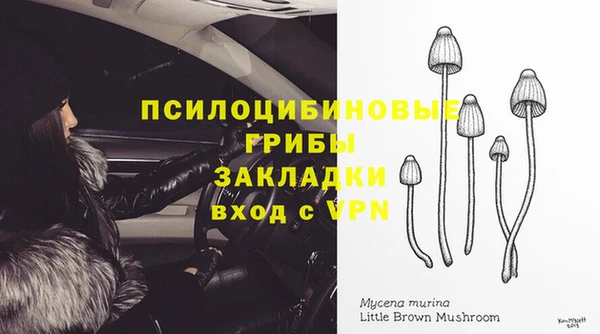 спиды Арсеньев