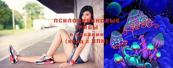 молекула духа Аркадак