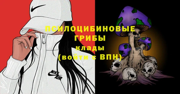 молекула духа Аркадак