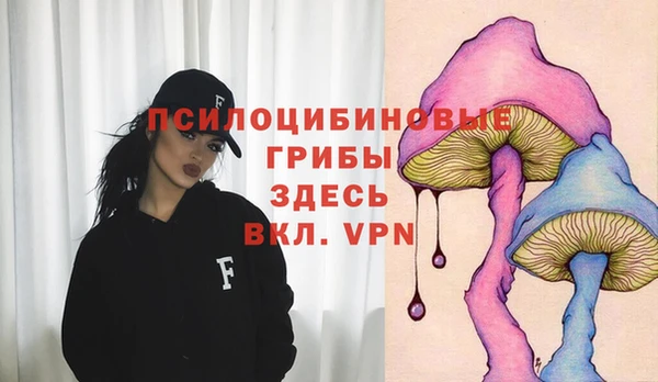 молекула духа Аркадак